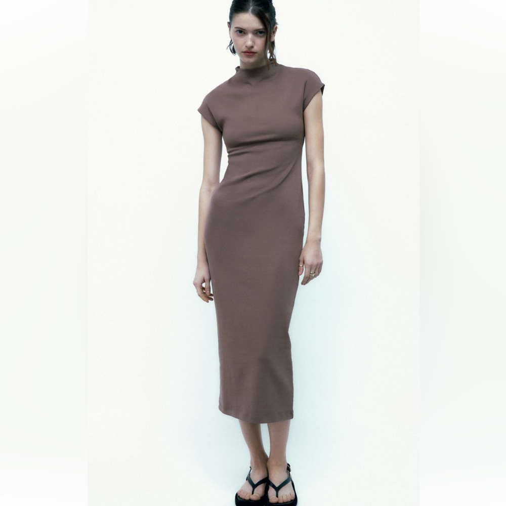 Zara Brown Maxi Dress